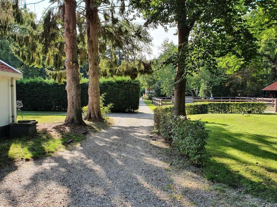 Midden In De Friese Bossen Op Landgoed Princenhof Oranjewoud Exterior foto