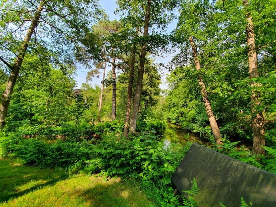 Midden In De Friese Bossen Op Landgoed Princenhof Oranjewoud Exterior foto