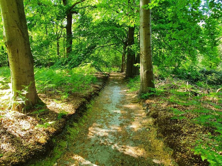 Midden In De Friese Bossen Op Landgoed Princenhof Oranjewoud Exterior foto